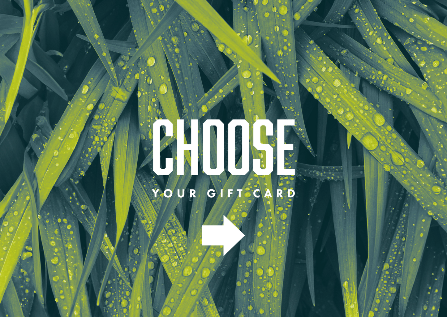 Brewery Tour Gift Card